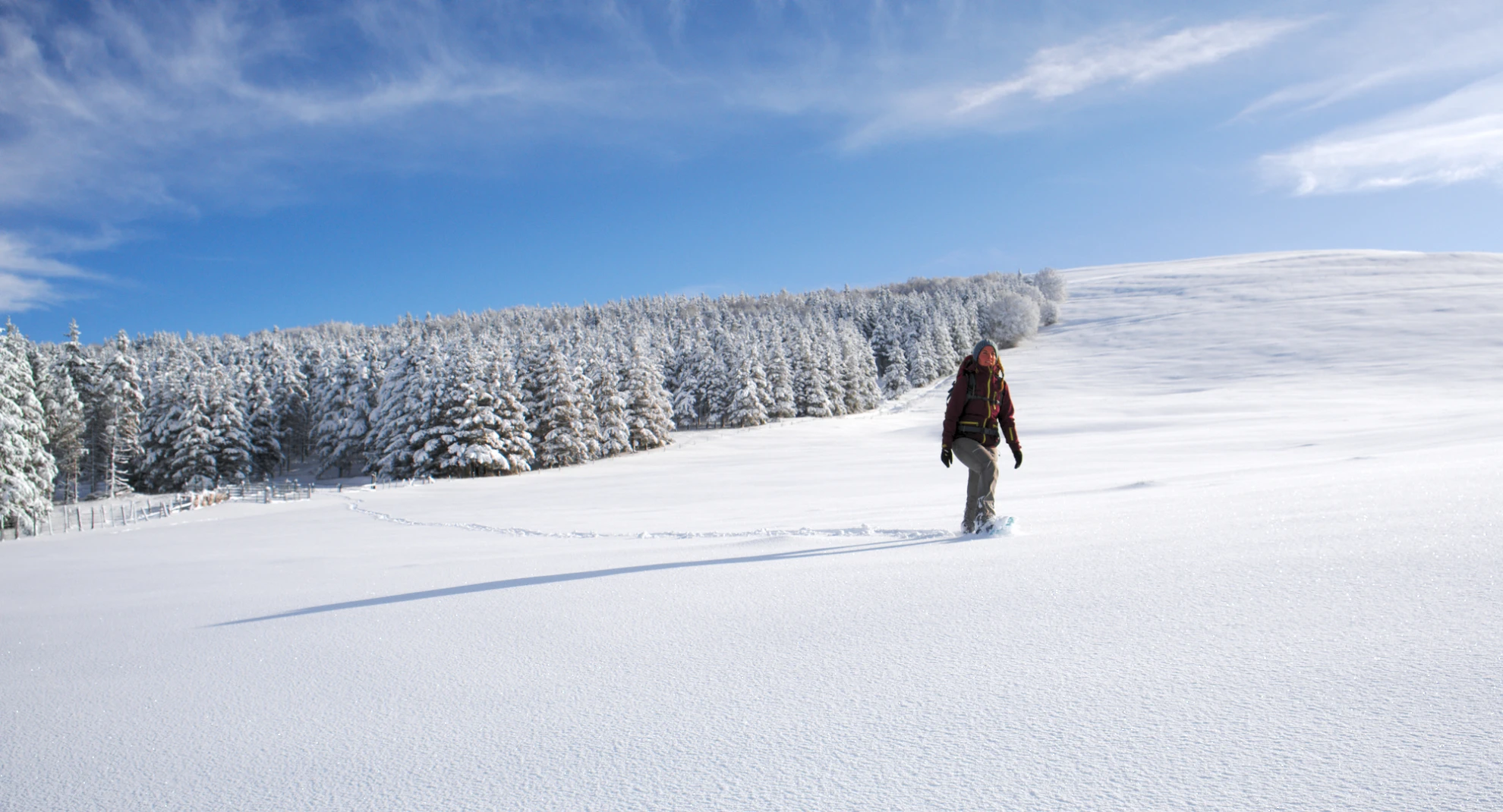 balade raquette vercors et randonnées neige villard de lans