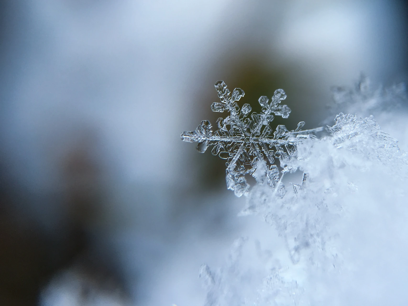 Idée Cadeau Nature ou randonnée : un bon à offrir pour noël ou un anniversaire