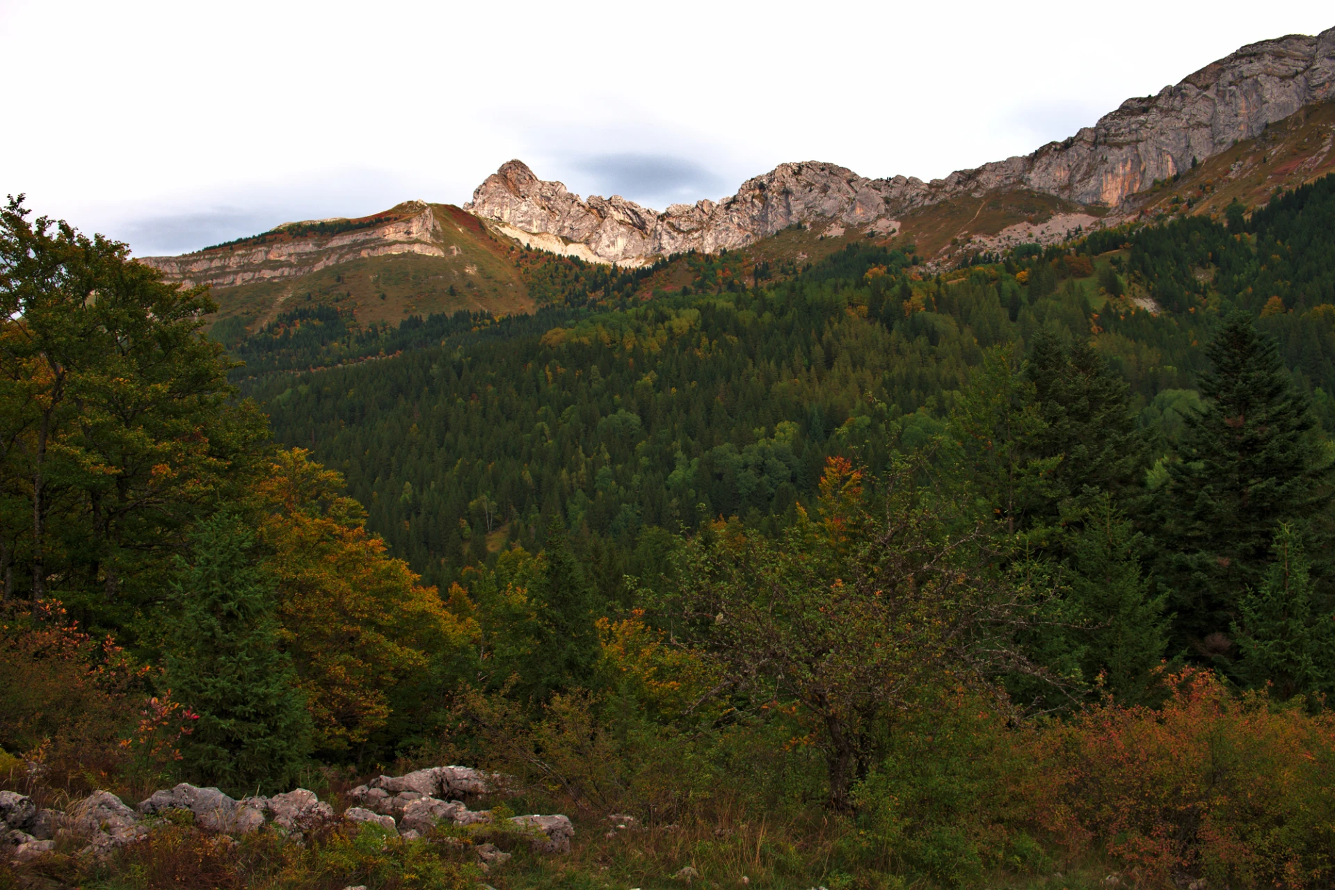 cornafion automne