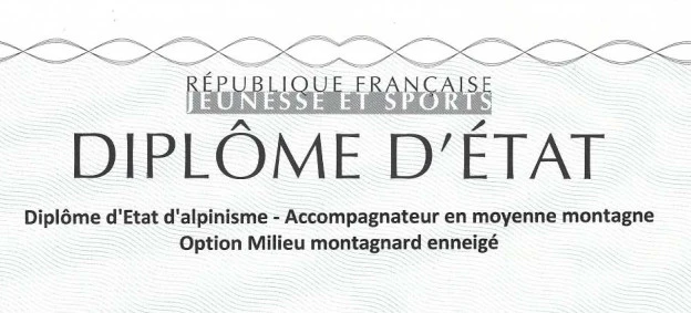 Diplôme DE AMM