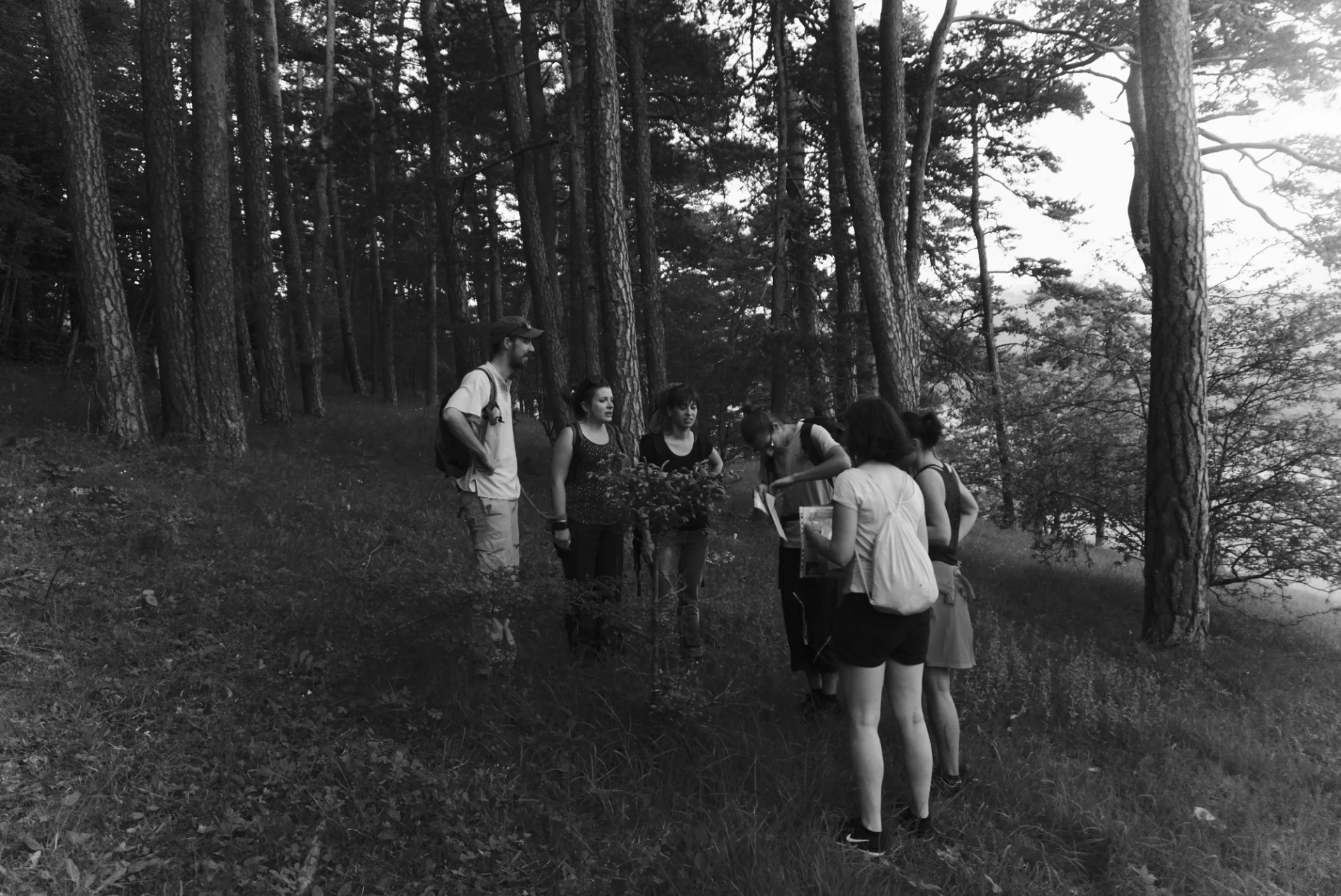 Escape game en forêt dans le Vercors