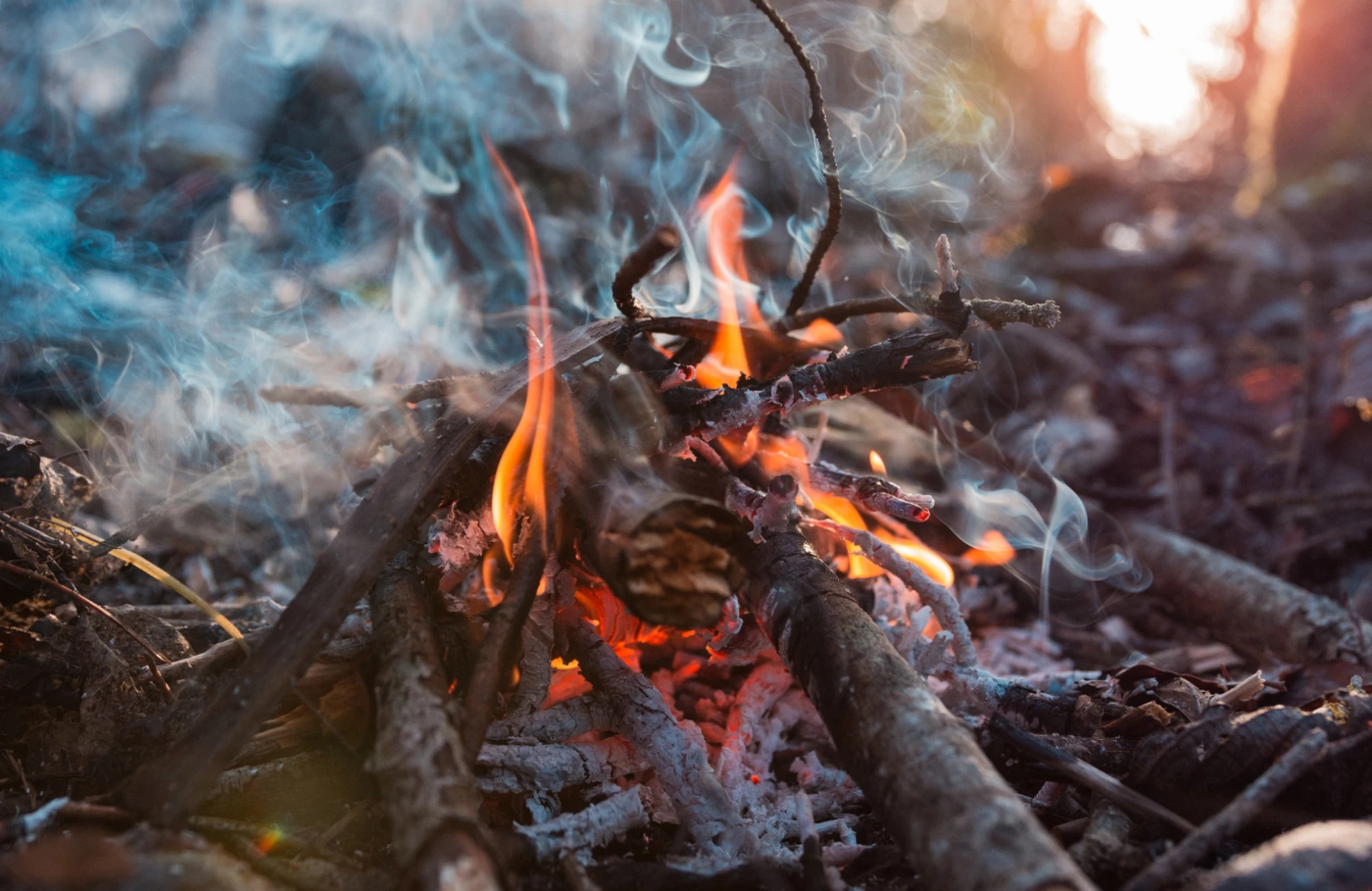 Bivouac en pleine nature <span id=bivouac></span>