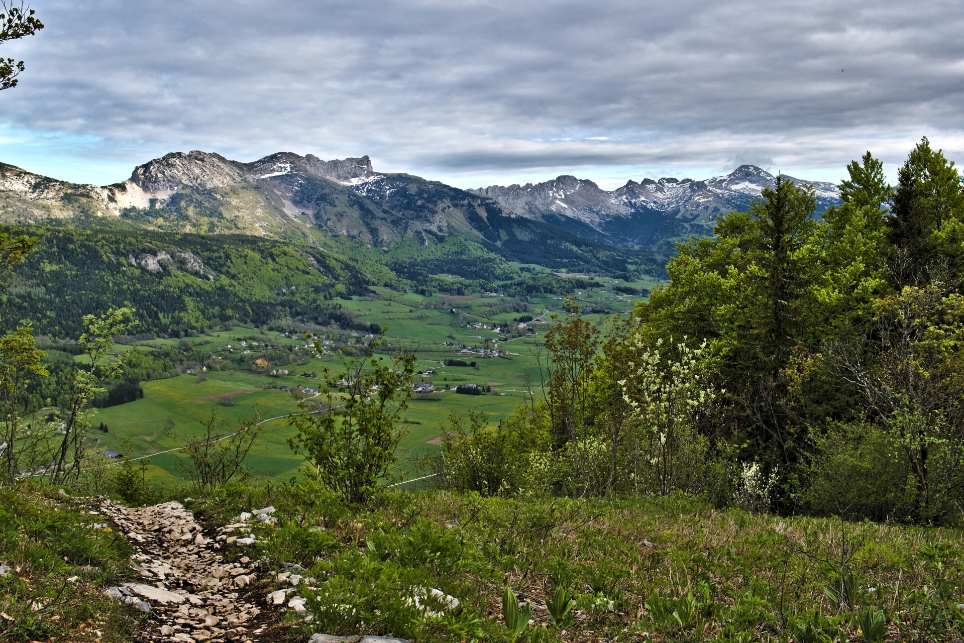 Grande Moucherolle depuis Lans en Vercors