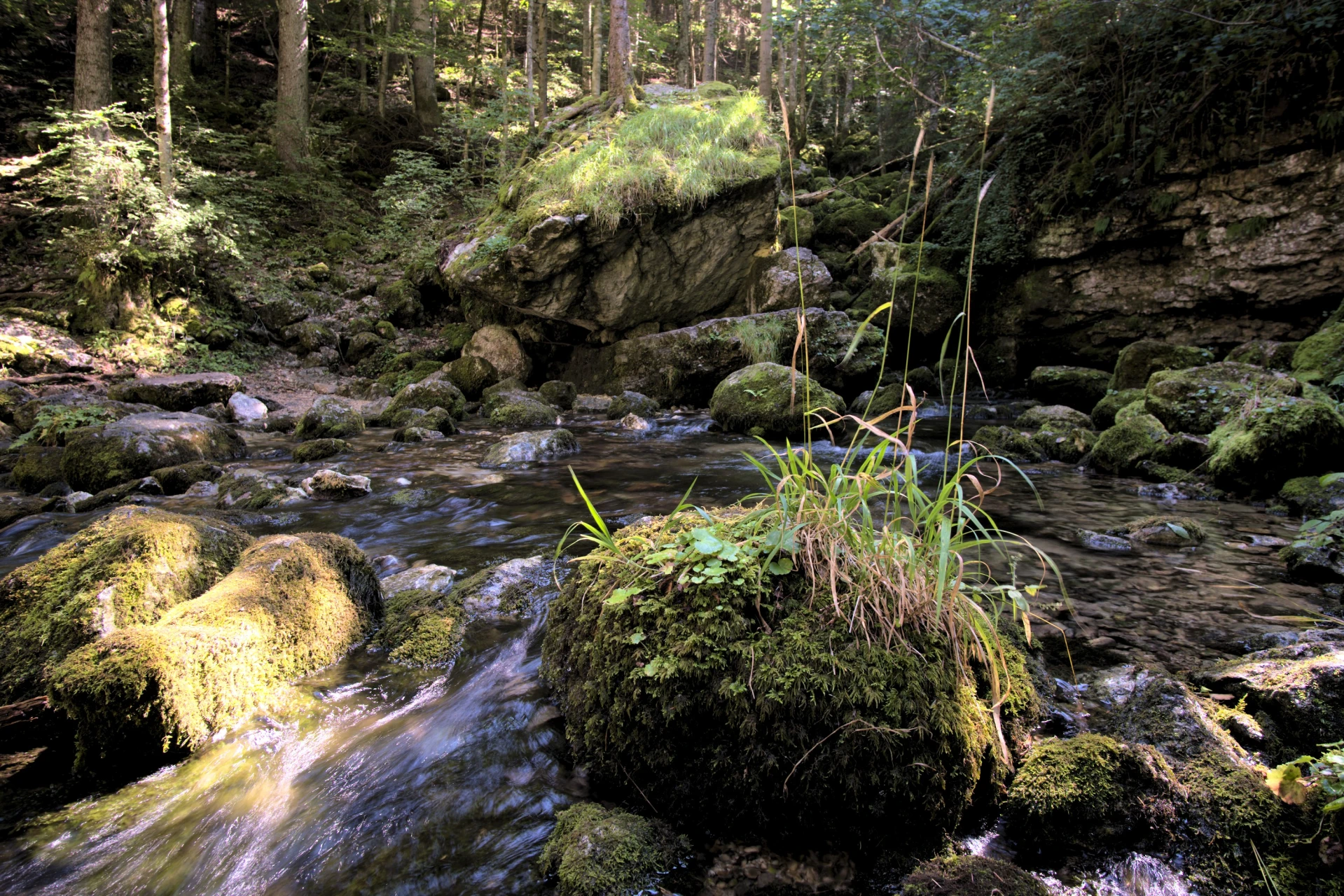 Haut Bruyant - Vercors