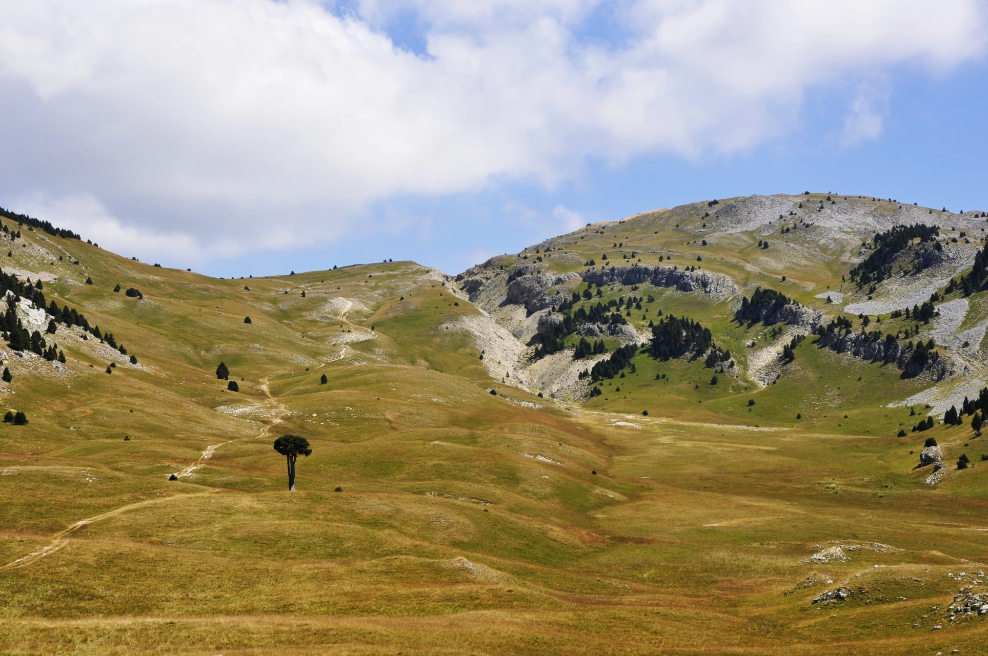 La_grande_plaine_de_la_Queyrie,_Vercors
