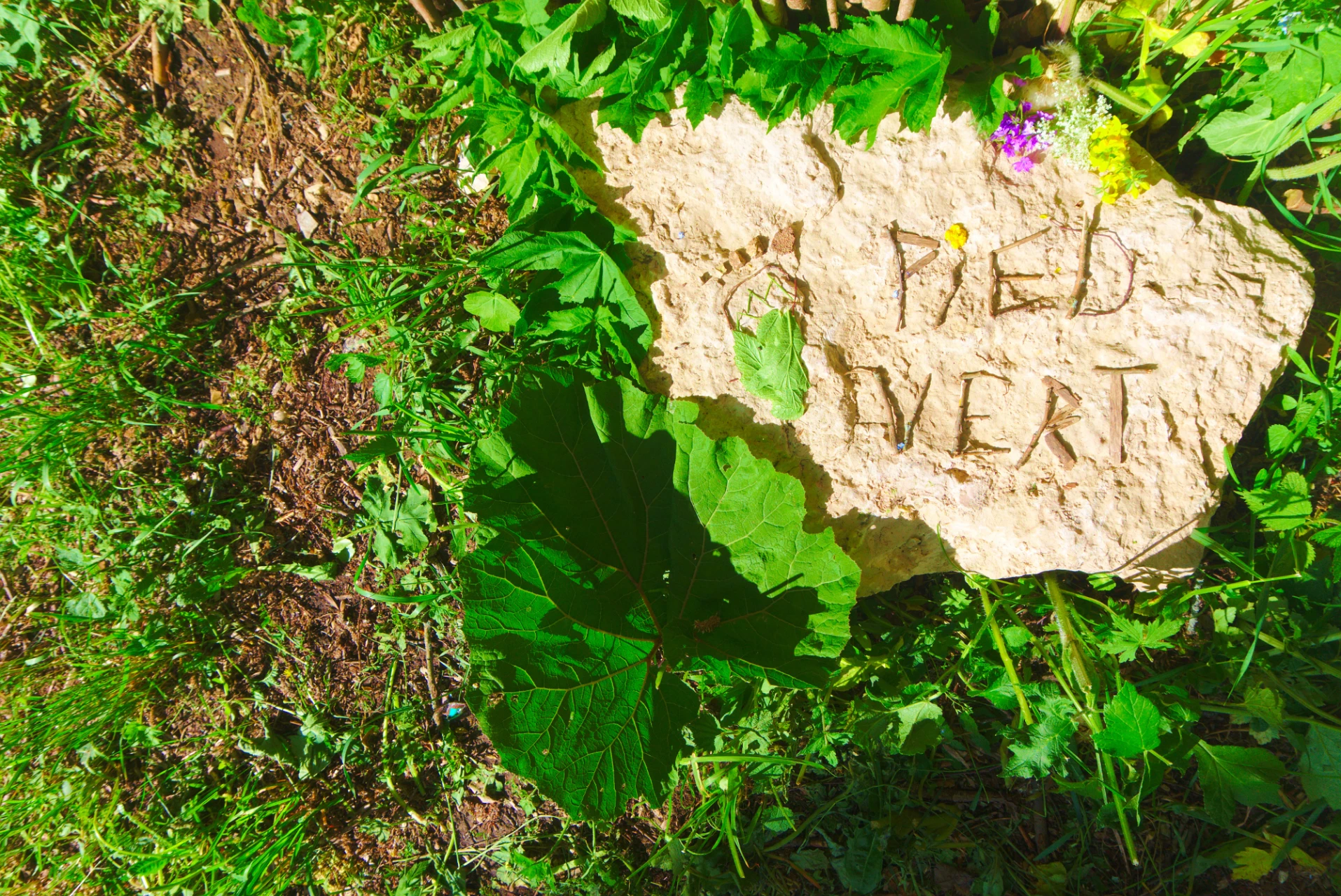Land-Art Oeuvre d'art éphémère avec et dans la nature