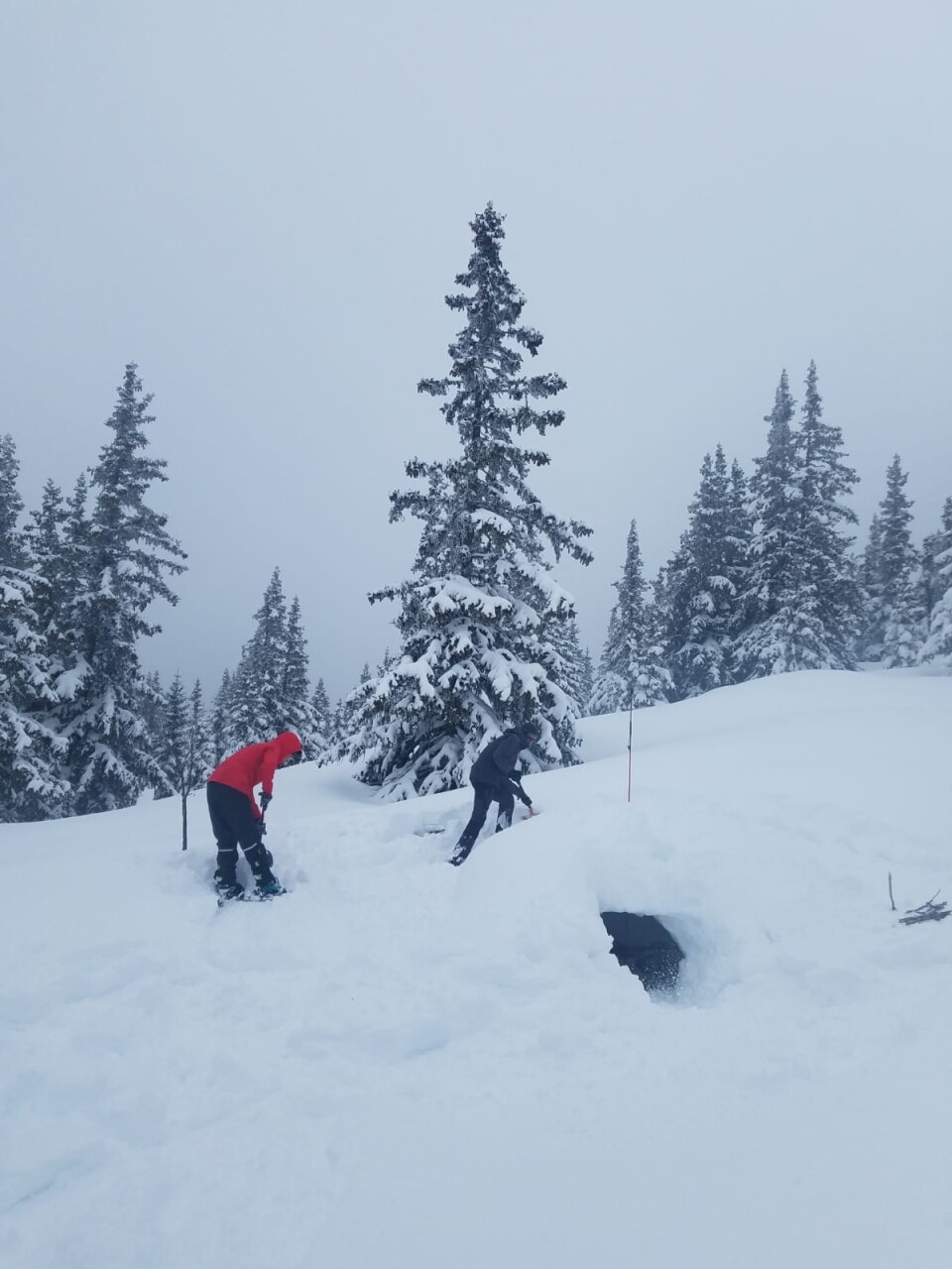 Neige-sonde