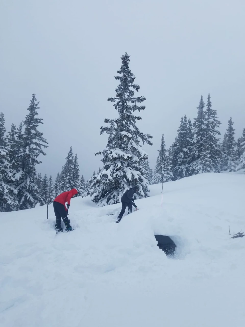 Neige-sonde