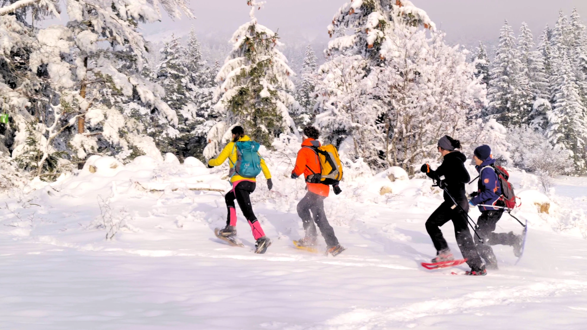 <span class="font-light! text-base!">Challenge ludique</span><br>Orientation sur neige