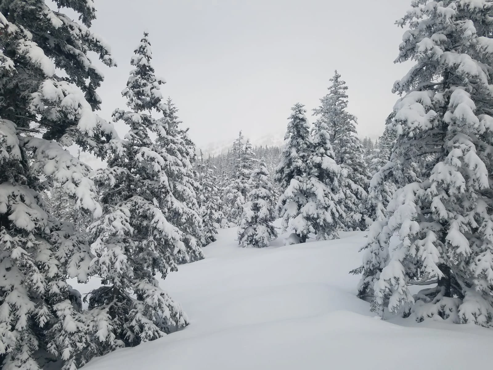 Aventure grand Nord dans le Vercors