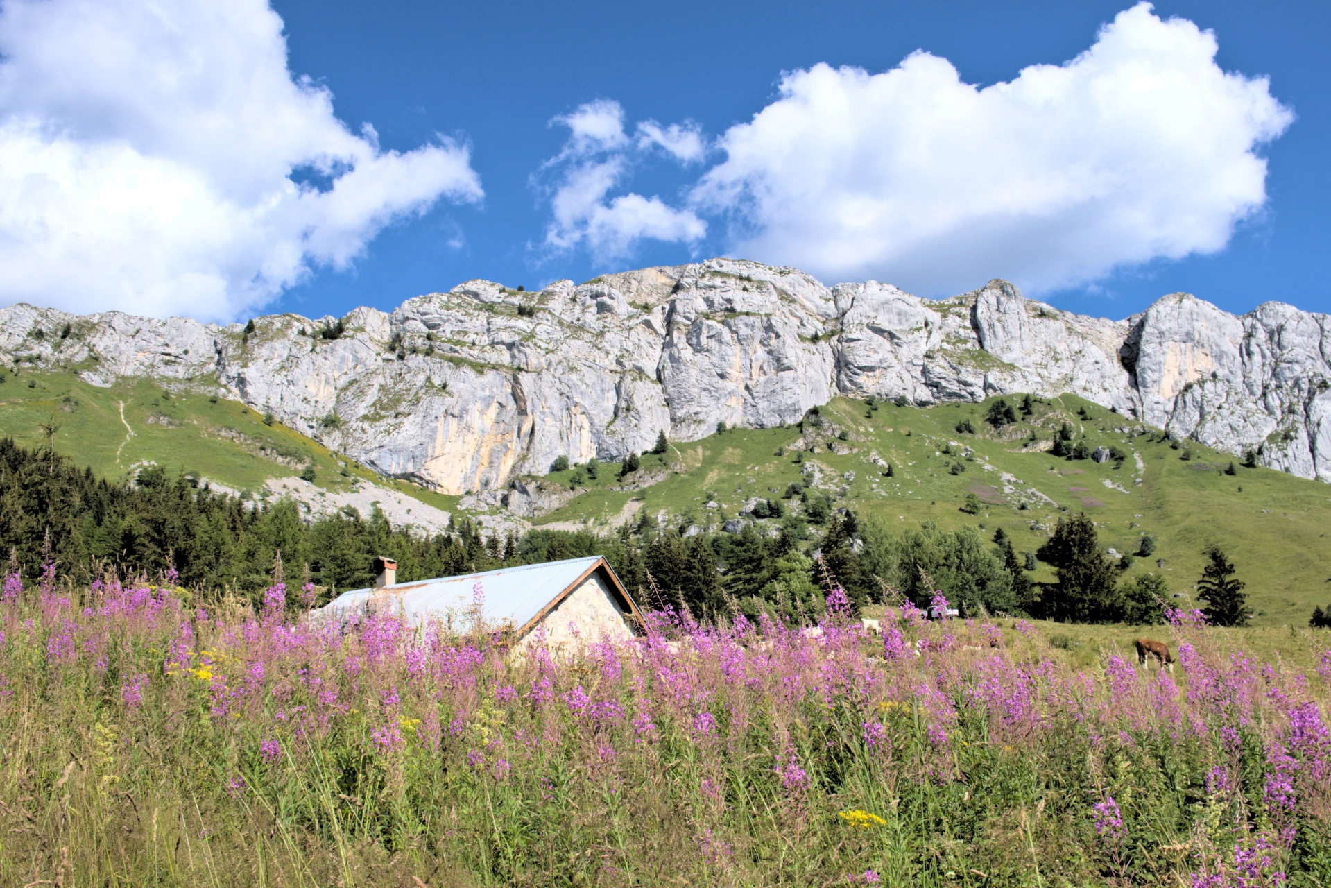 Sortie <em>Découvertes Nature</em>