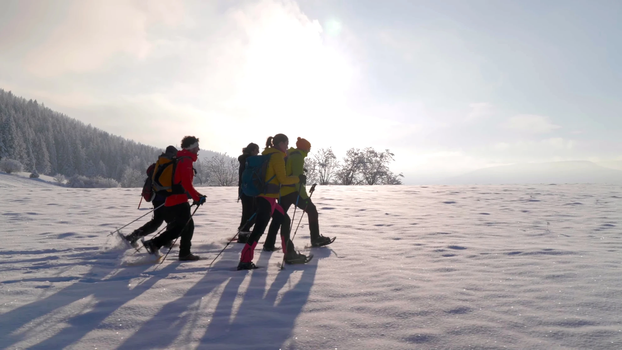 Belles randonnées en raquette depuis Lans-en-Vercors