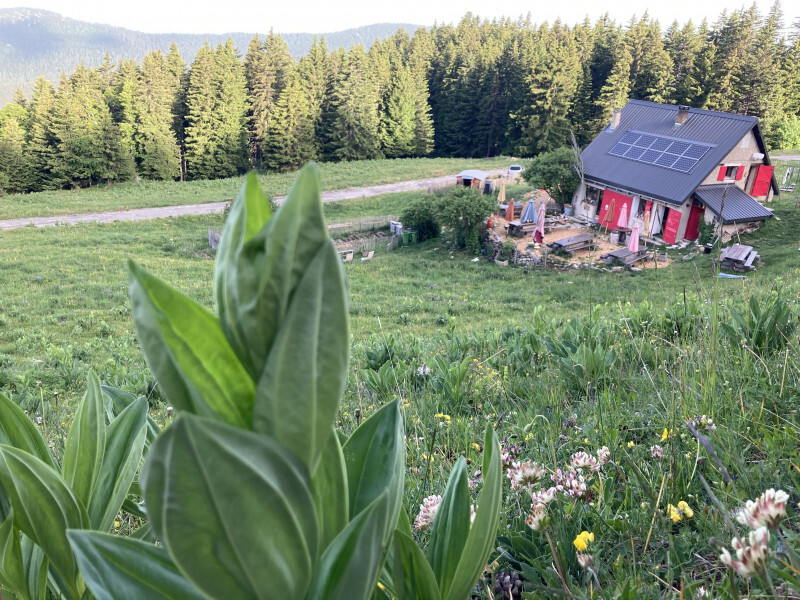 refuge des Feneys