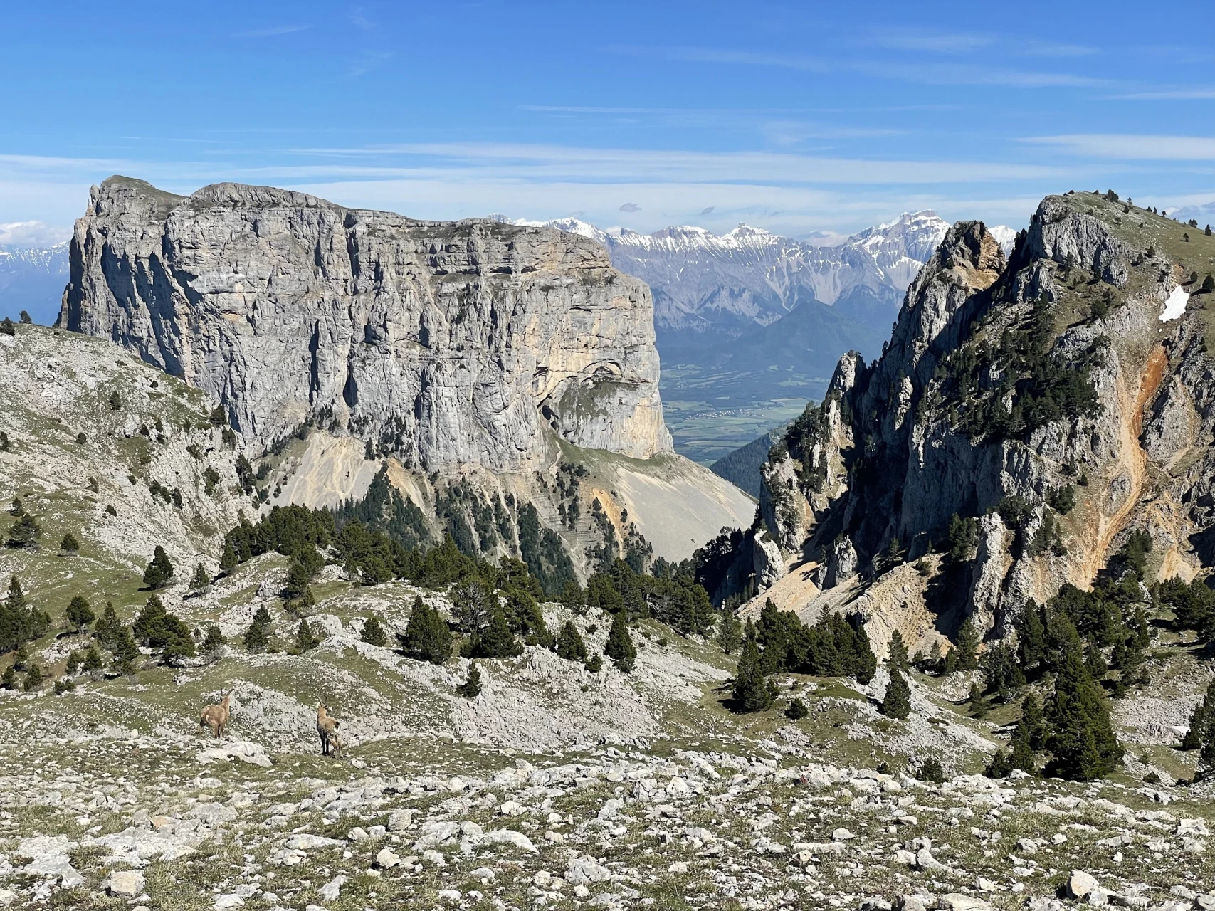 review-bouquetin-montagne-3_julius-dewavrin.jpg - 692da98d827a8