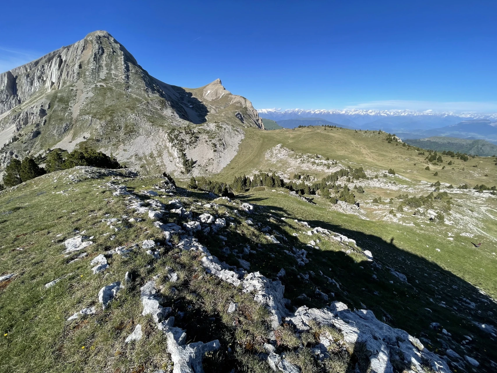 review-bouquetin-montagne-4_julius-dewavrin.jpg - 692da98d83335