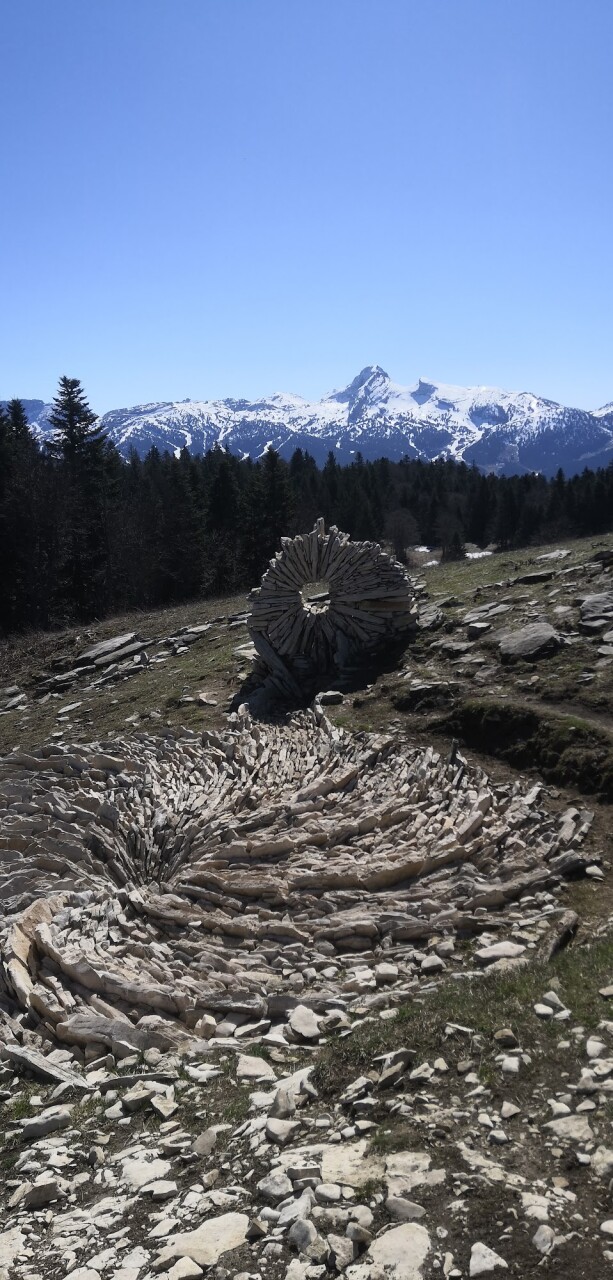 review-chamois-alpes-1_lemonnier-guillaume.jpg - 692da98d83ded