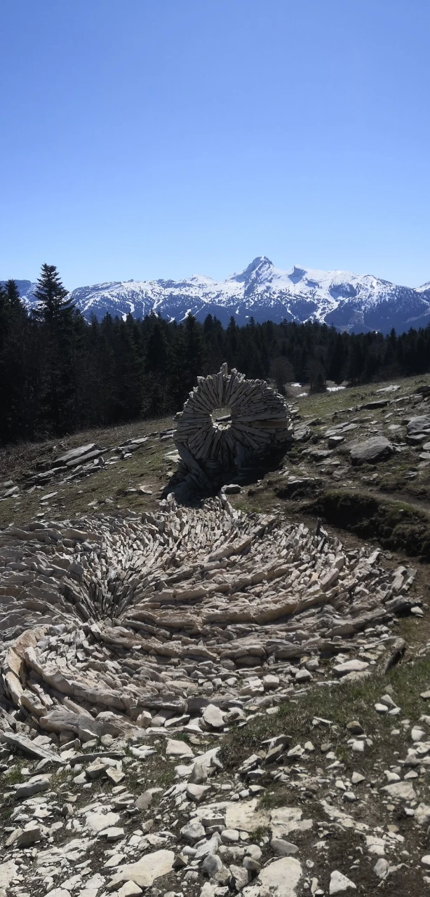 review-chamois-alpes-1_lemonnier-guillaume.jpg - 692da98d83ded
