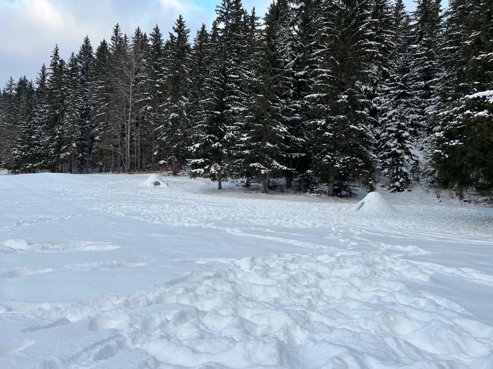 review-igloo-construction-1_jeremy-lacroix.jpg - 692da98d85567