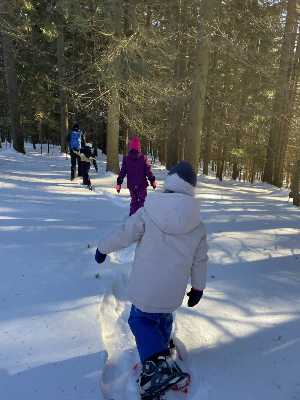 review-igloo-construction-1_linda-pavret-de-la-rochefordiere.jpg - 692da98d85e41