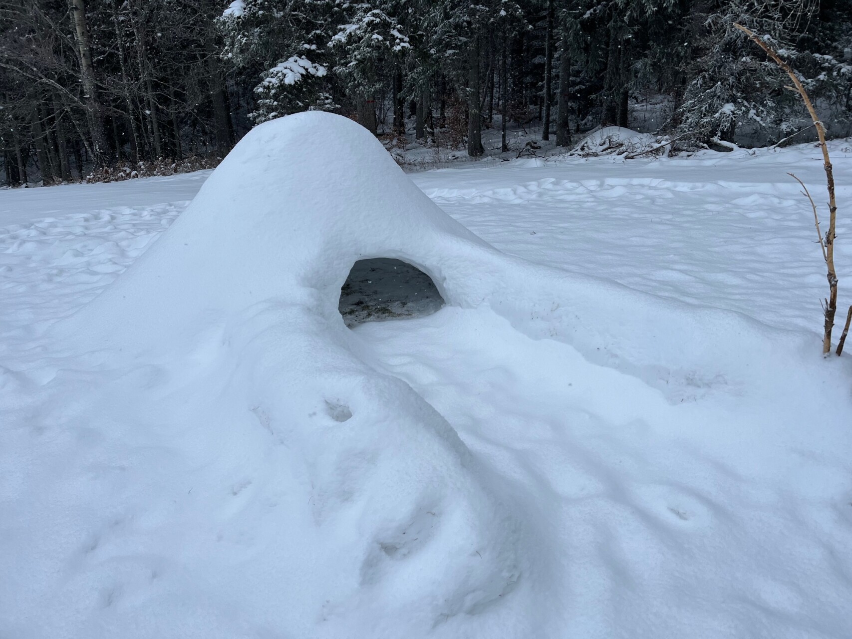 review-igloo-construction-2_jeremy-lacroix.jpg - 692da98d86250