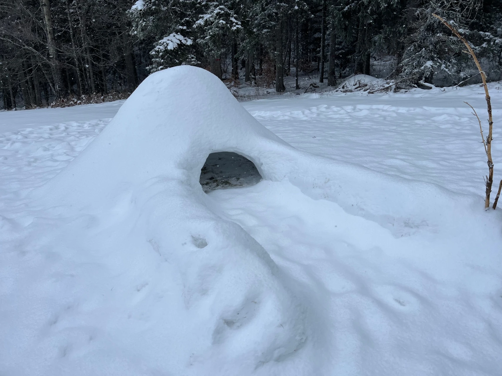 review-igloo-construction-2_jeremy-lacroix.jpg - 692da98d86250