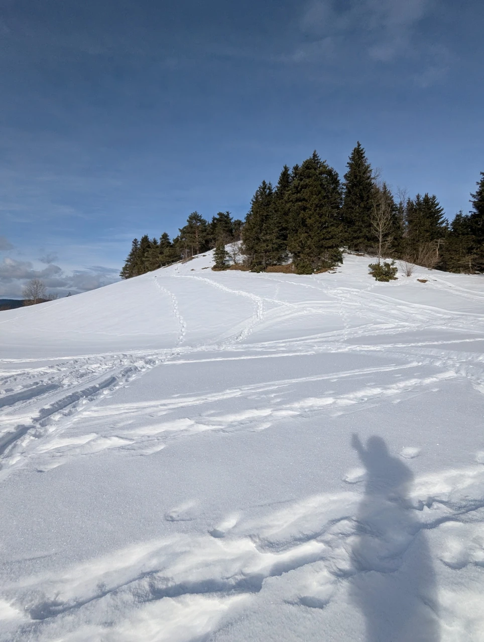 review-loup-traces-1_jer-all.jpg - 692da98d88279