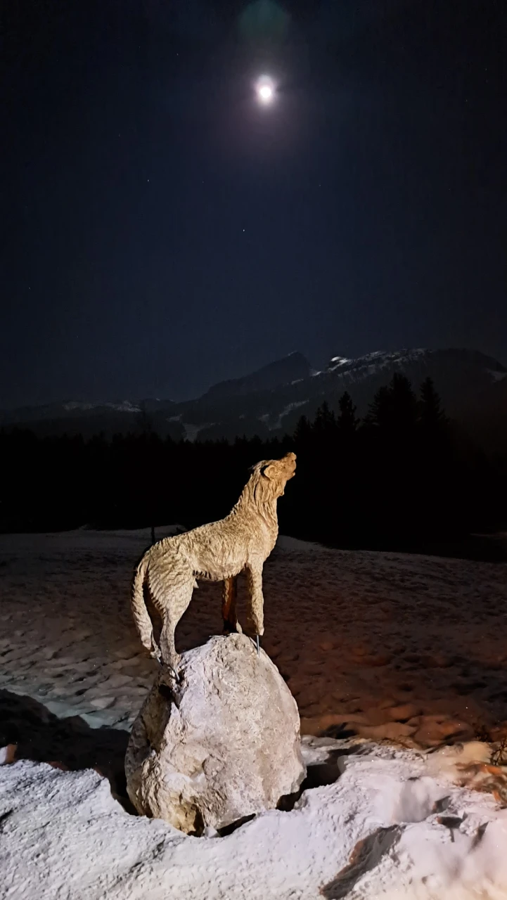 review-loup-traces-1_lina-morel.jpg - 692da98d885a4