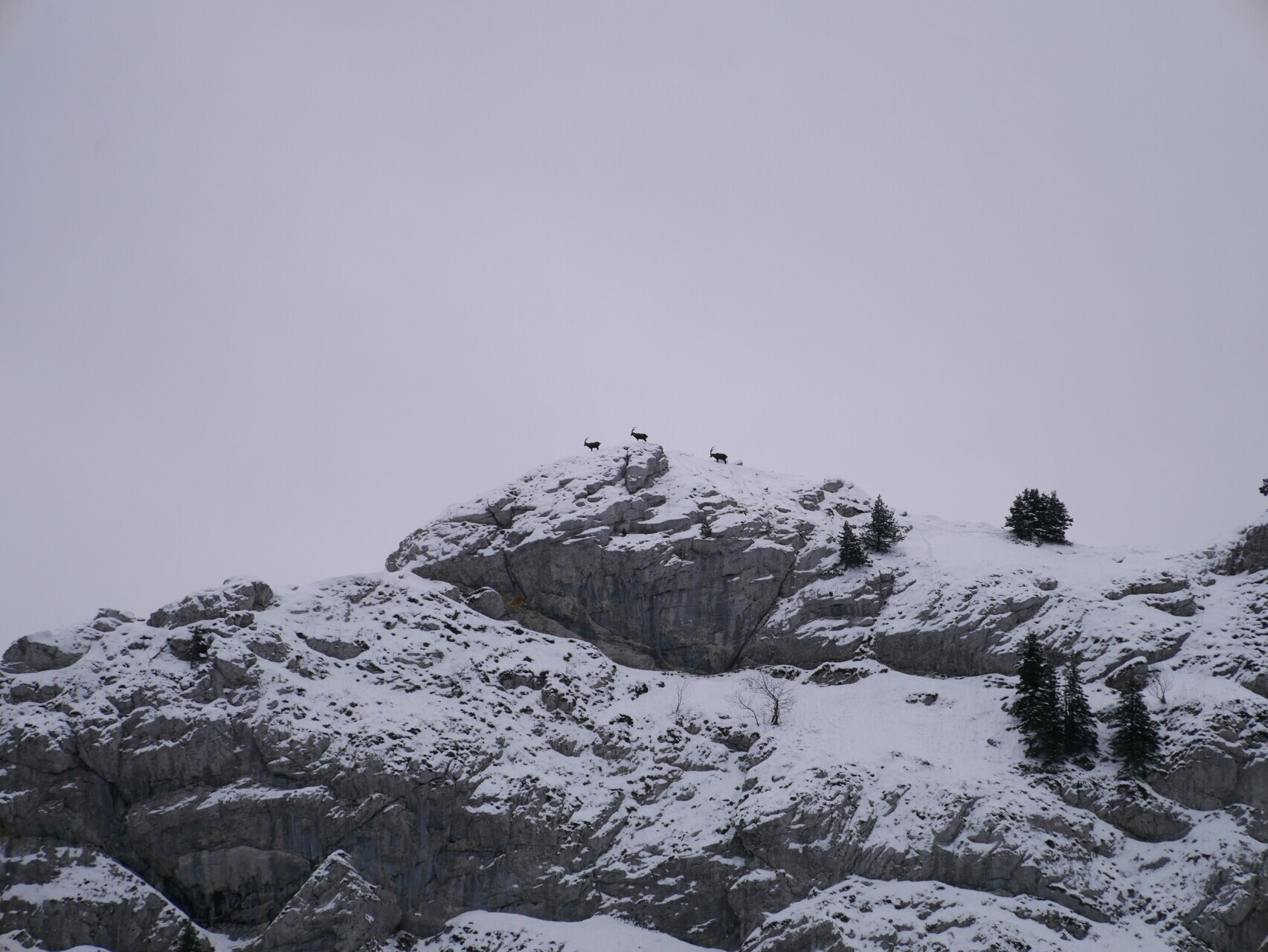 review-randonnee-vercors-1_dorine-borget.jpg - 17296a0fde8d