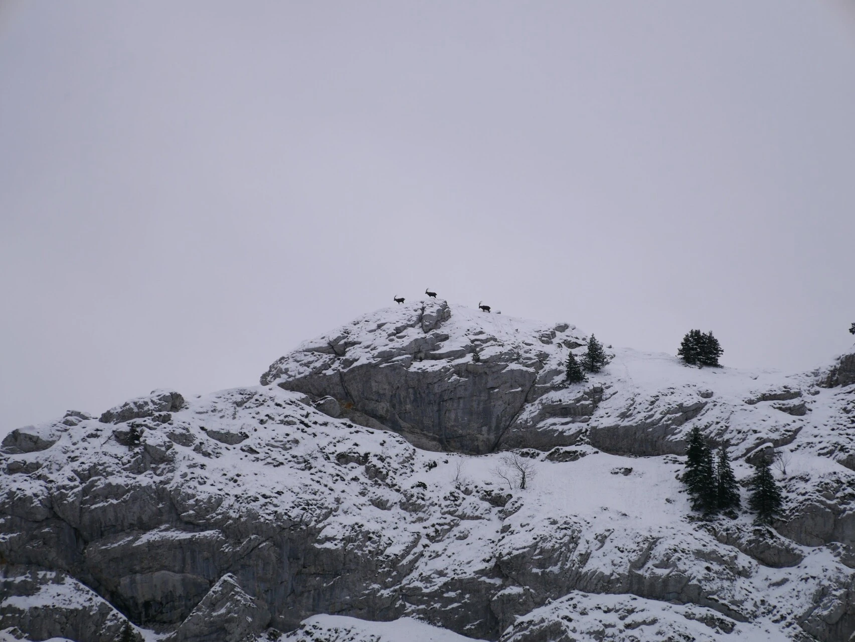 review-randonnee-vercors-1_dorine-borget.jpg - 17296a0fde8d