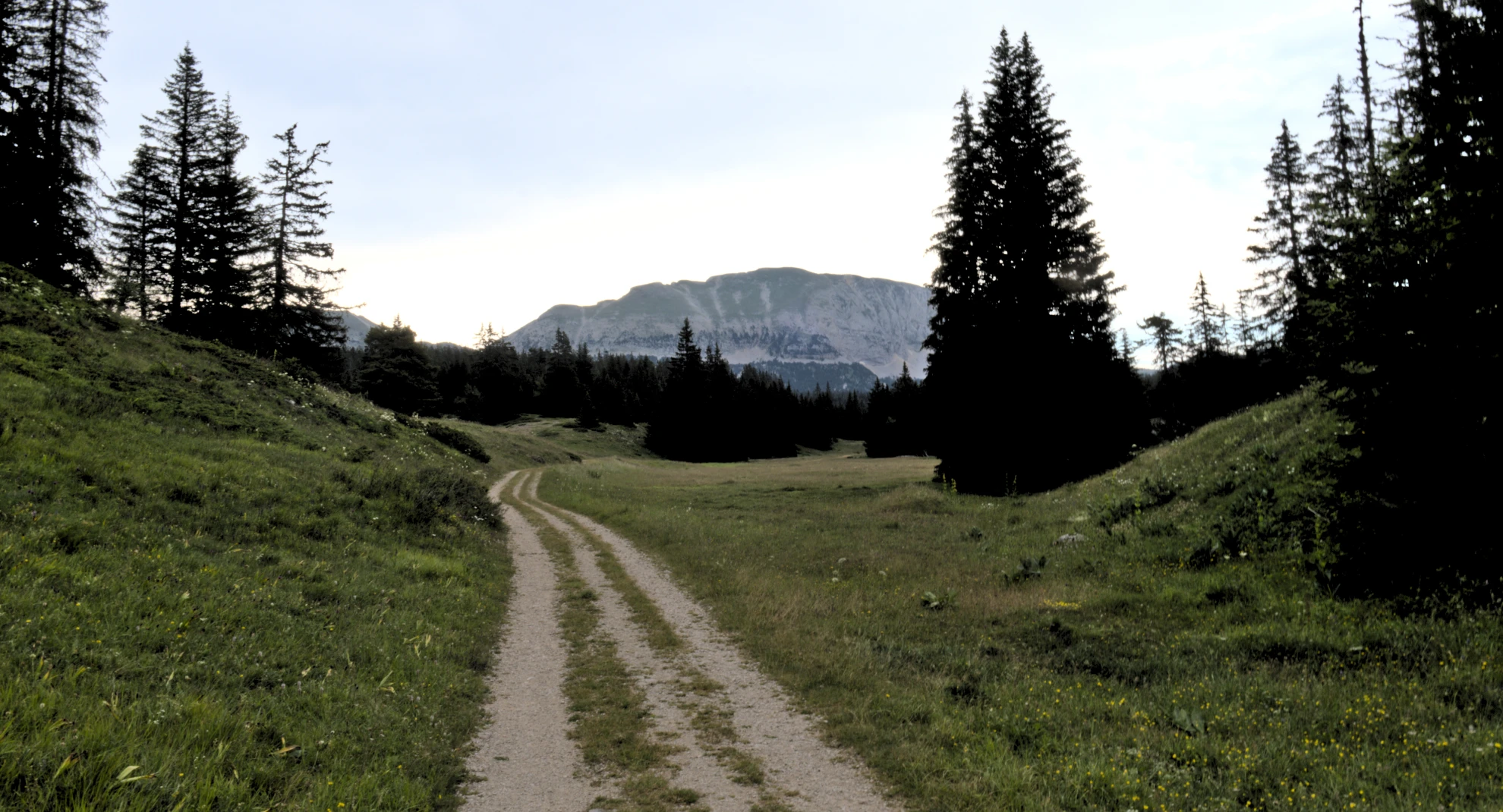 route forestière rachier