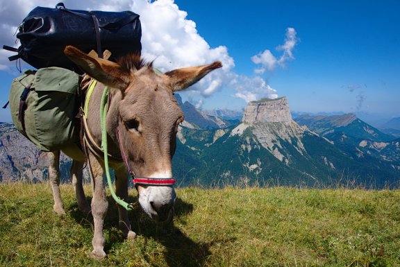 Randonnée avec un Âne dans le Vercors